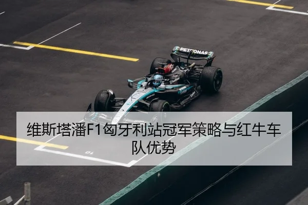 wei-si-ta-pan-xiong-ya-li-zhan-guan-jun-ce-lve-yu-hong-niu-che-dui-you-shi-3-256.jpg