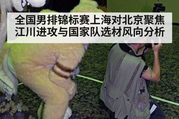 全国男排锦标赛上海对北京聚焦江川进攻与国家队选材风向分析